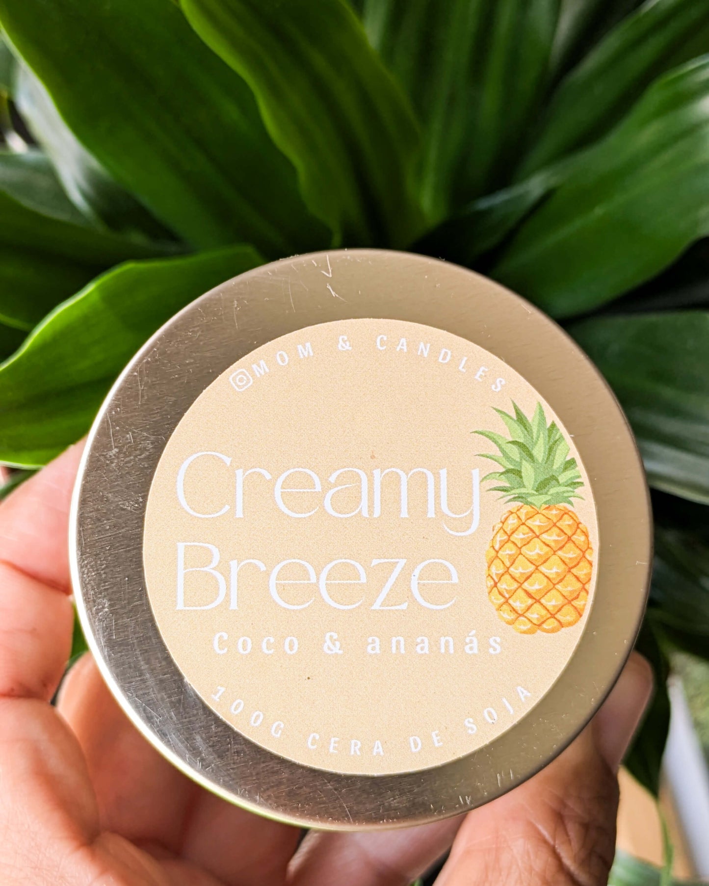 Summer Escape Collection
