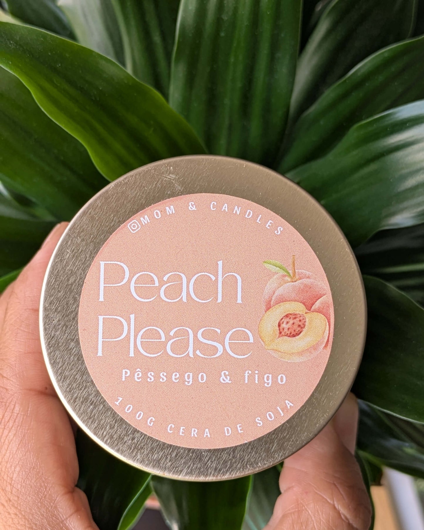 Summer Escape Collection